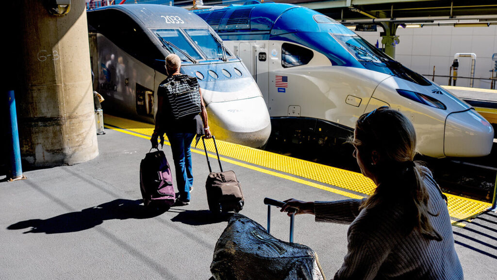 Passenger boarding a train